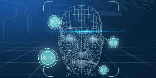 虛擬數字人亮相晉城，技術開發引領職場新變革