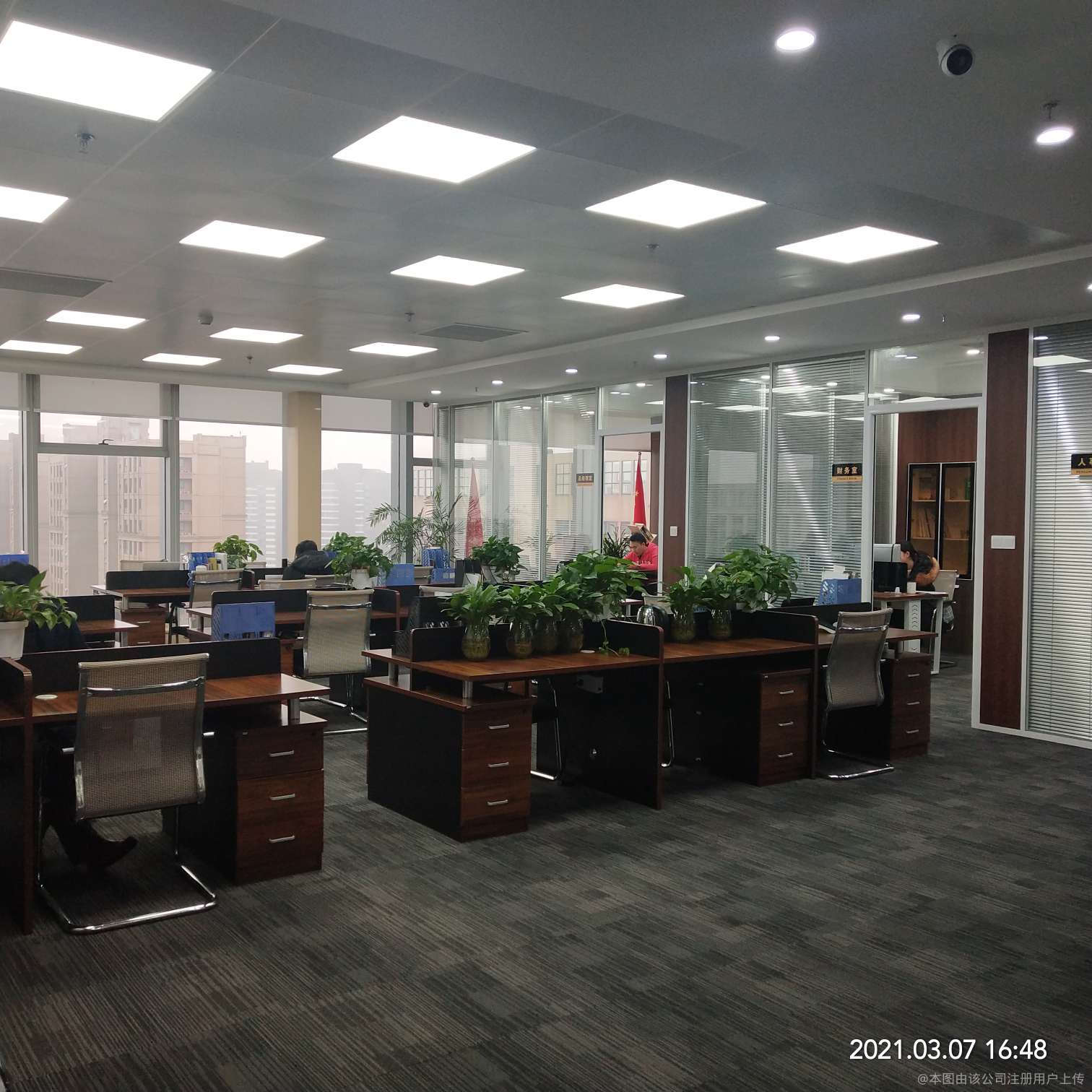 言啟商務信息咨詢 洞察數據，賦能決策